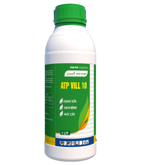 ATP VILL 10