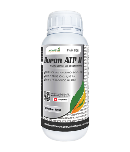 BORON ATP 