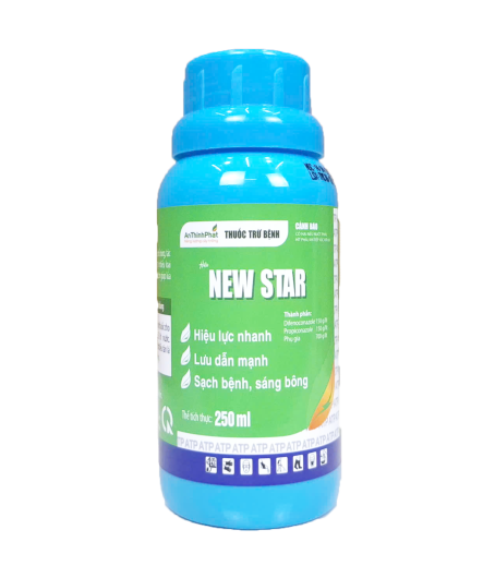 New Star