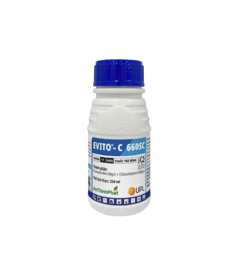 EVITO - C 660SC 