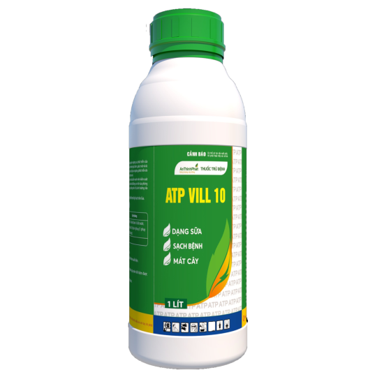 ATP VILL 10