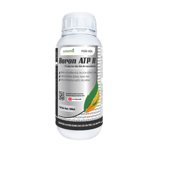 BORON ATP 
