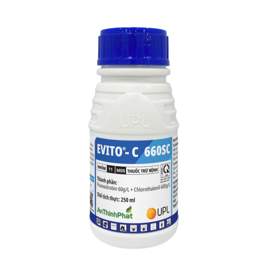 EVITO - C 660SC 