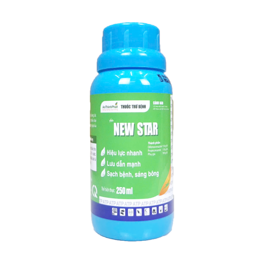New Star