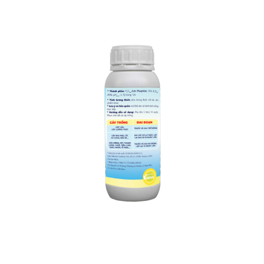 PHOSPHATIN 